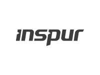 Inspur